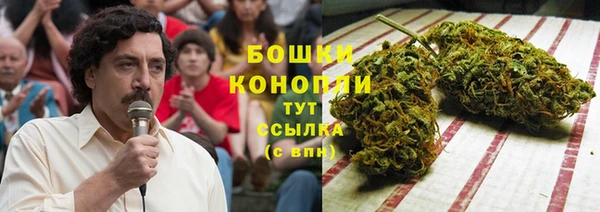 сатива Дмитров