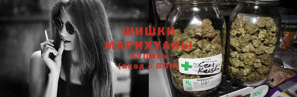 сатива Дмитров