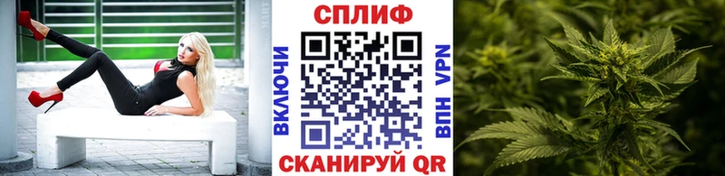 МЕГА вход  Жиздра  МАРИХУАНА планчик  купить закладку 